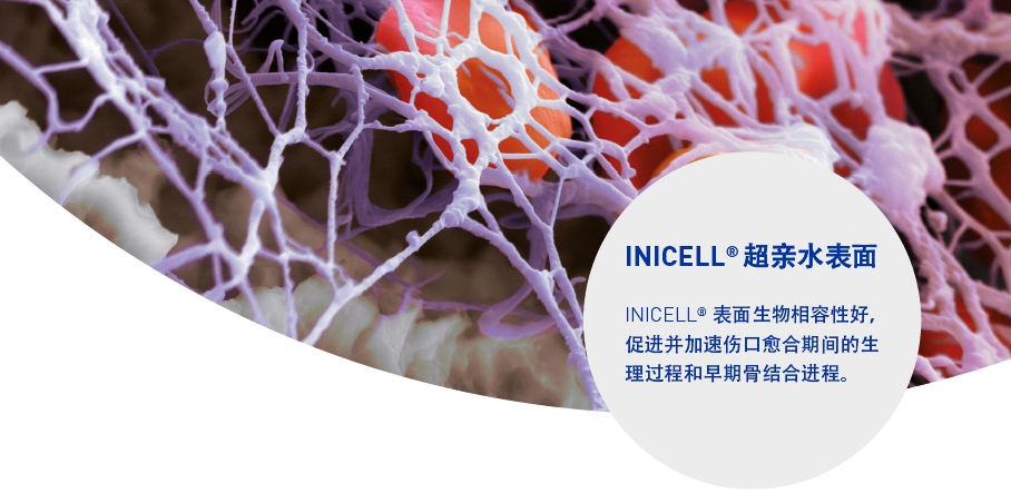 INICELL